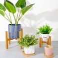thumbnail image 3 of Lubelski Wood Flower Pot Bonsai Rack Holder Home Garden Indoor Display Plant Stand Shelf, 3 of 8