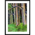 thumbnail image 2 of Art.com Hawaii, Maui, Rainbow Eucalyptus Trees Photographic Print by Terry Eggers, Black Frame Wall Art, 21" x 29", 2 of 5