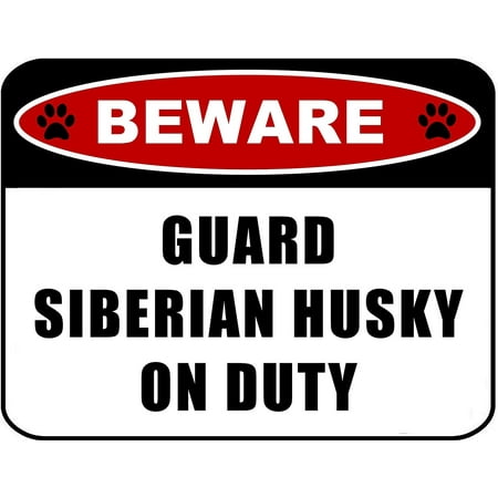 Beware Guard Siberian Husky (v2) on Duty 11.5 inch x 9 inch Laminated Dog (Best Siberian Husky Names)