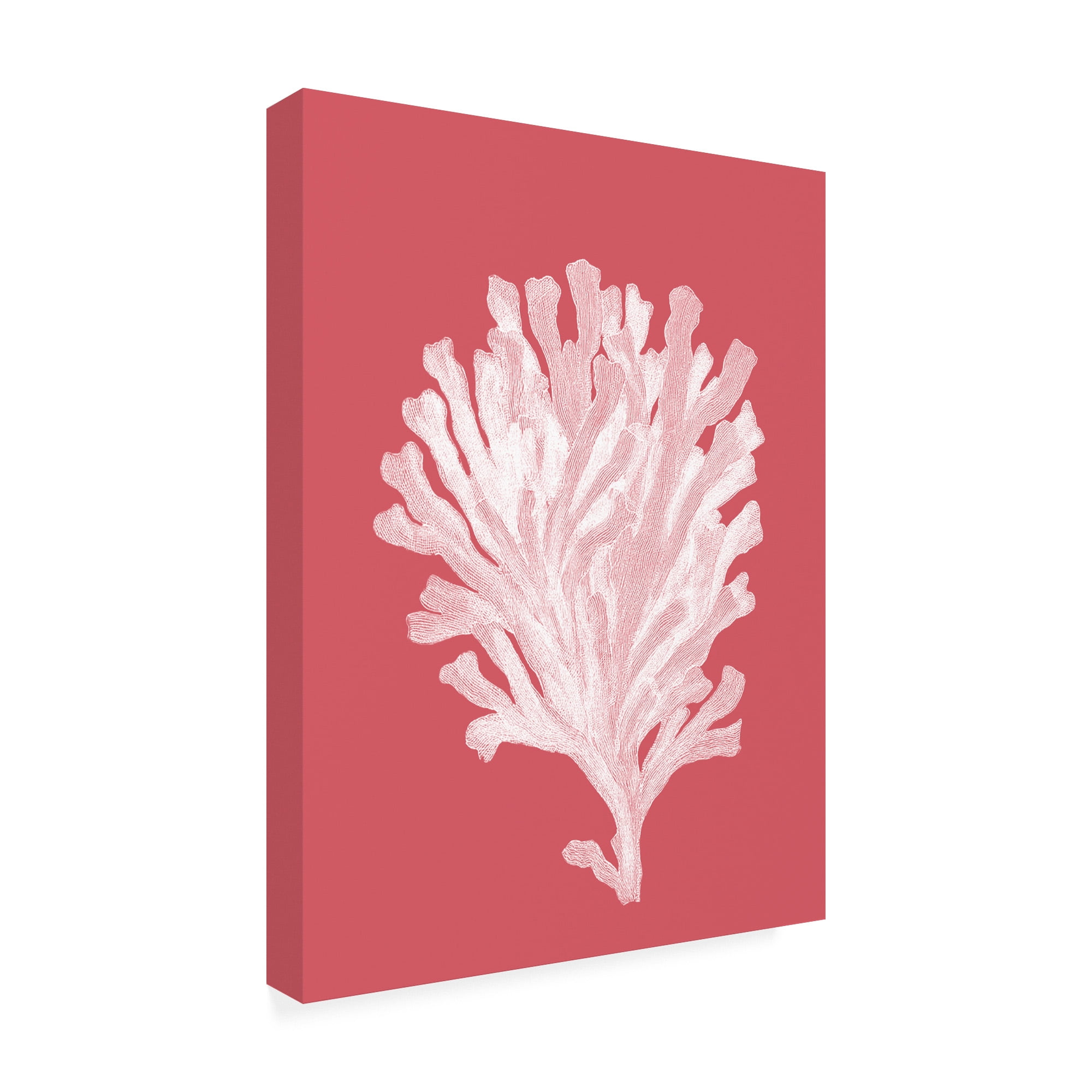 Trademark Fine Art 'Corals White on Coral d' Canvas Art by Fab Funky