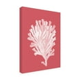 thumbnail image 2 of Trademark Fine Art 'Corals White on Coral d' Canvas Art by Fab Funky, 2 of 3