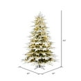 thumbnail image 2 of Vickerman K185347LED 4,5 Pi x 47 Po Arbre de Noël Fraser Kamas avec Dura-Lit 350 Multicolore LED Mini Light, 2 of 2