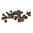 thumbnail image 1 of Natural Preserved Chiloni Pods Bowl Filler, 8-Ounce, 1 of 1