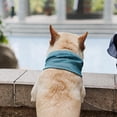 thumbnail image 3 of JUNTEX Dog Wearable Cooling Neck Wraps for Summer Heat Reusable Neck Cooler Supplies, 3 of 14