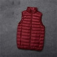 thumbnail image 2 of Toimothcn Mens Puffer Vest Winter New Lightweight Down Vest Solid Color Warm Thickened Sports Sleeveless Winter Jackets Comfy Outwear, 2 of 4