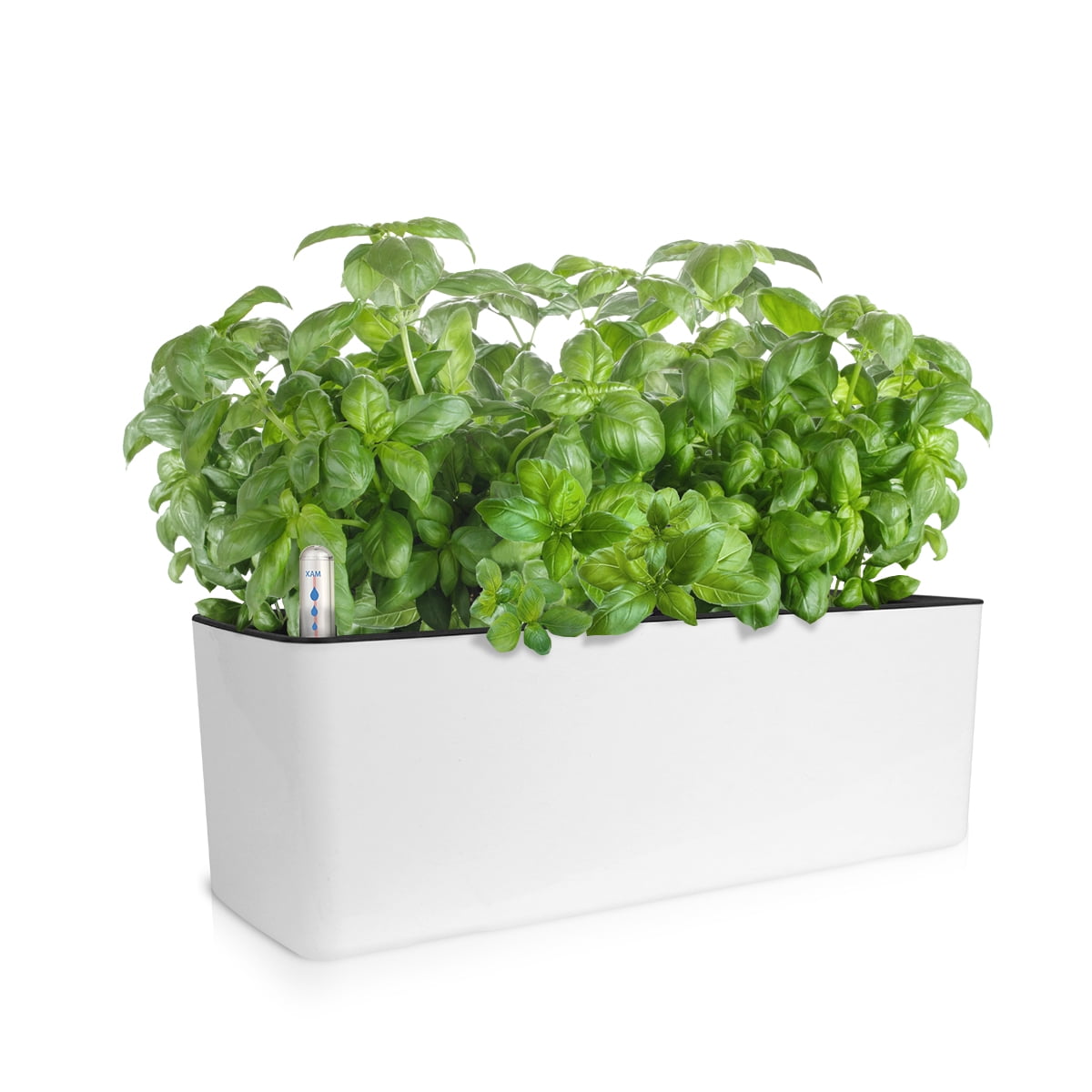 GrowLED Rectangle Self Watering Box Planter for Indoor Plants, White(15.8"x5.2"x5.2") - Walmart.com