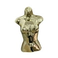 thumbnail image 3 of Runquan Female Mannequin Torso Body Manikin for Fitting Styling Clothes Shows Retail Gold, 3 of 8