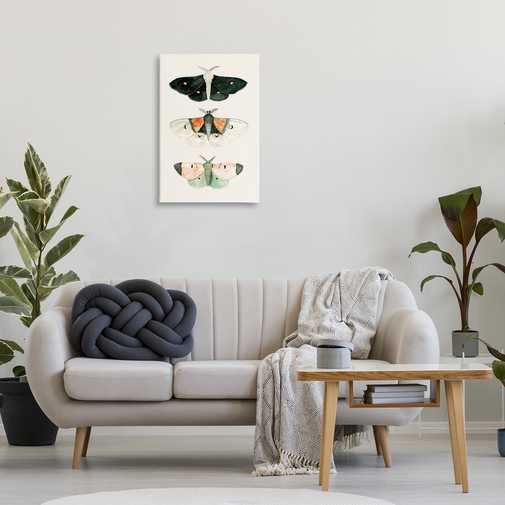 Stupell Industries Assorted Moth Trio Animals Painting Wrapped Canvas Art Print Wall Art, 20 x 30