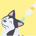 thumbnail image 3 of Dr. Sniff Always Be Wax Free Ear Wash, 3 of 6
