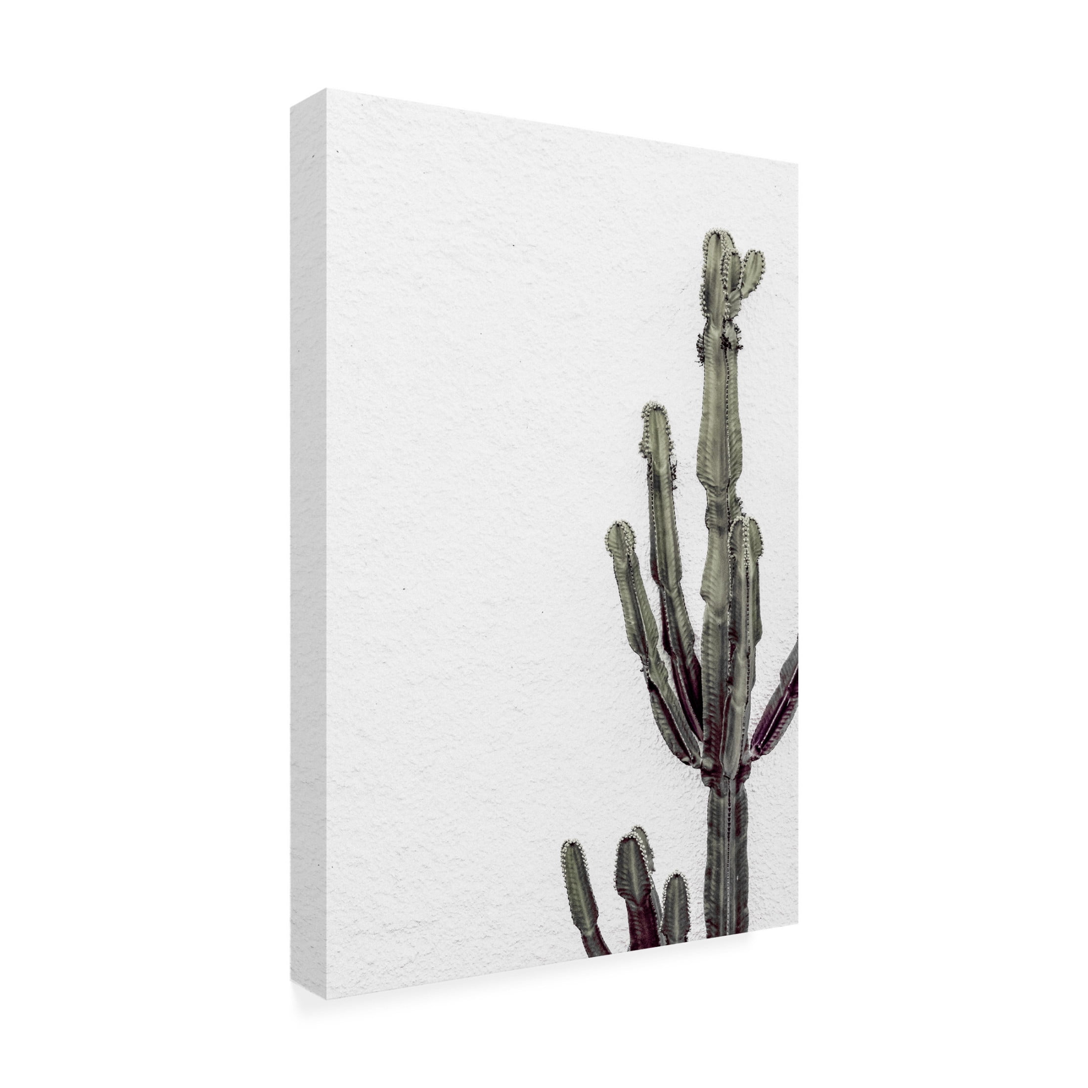 Trademark Fine Art Pictufy Studio III Cactus 3 Canvas Wall Art