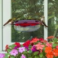 thumbnail image 3 of Nature's Way TWF1 Traditional Hummingbird Window Feeder, Red, 3 of 7