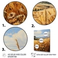 thumbnail image 3 of Designart "Spain Golden landscapes Mediterranean III" Farmhouse Floater Framed Canvas Print, 3 of 7