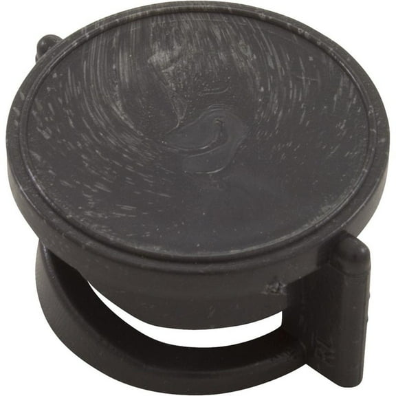 Plunger, Waterway, 1", Air Control