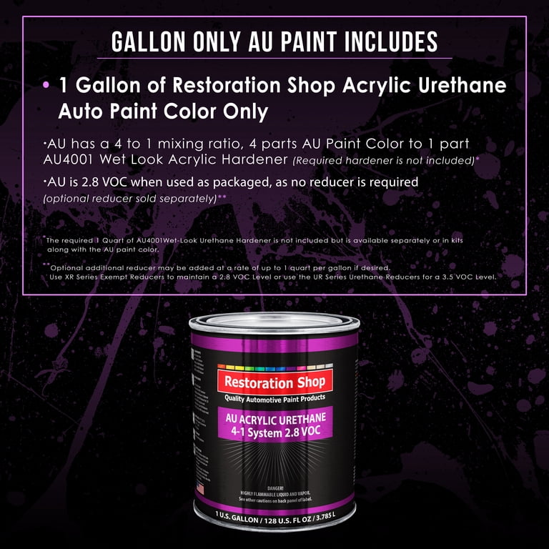 Champagne Metallic Single Stage Auto Paint Kit Champagne Metallic Single Stage Auto Paint Kit
