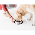 thumbnail image 3 of Podinor Cuencos De Acero Inoxidable Para Perros, Comida Y Agua, Antideslizantes, Apilables, Platos Para Cachorros Para Perros Pequeños, Medianos Y Grandes (Paquete De 2), 3 of 5