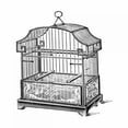 thumbnail image 2 of Catalog Illustration 15x15 White Modern Wood Framed Museum Art Print Titled - Etchings: Birdcage - Gable top, floral base., 2 of 4