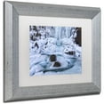 thumbnail image 2 of Trademark Fine Art "Frosty Falls" Canvas Art by Michael Blanchette Photography White Matte, Silver Frame, 2 of 4