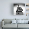 thumbnail image 2 of Canvas Wall Art - Christophe Staelens 'In My Shadow' Wall Art for Living Room, Bedroom, or Office Décor by Trademark Fine Art - 24 x 24 Inches, 2 of 4