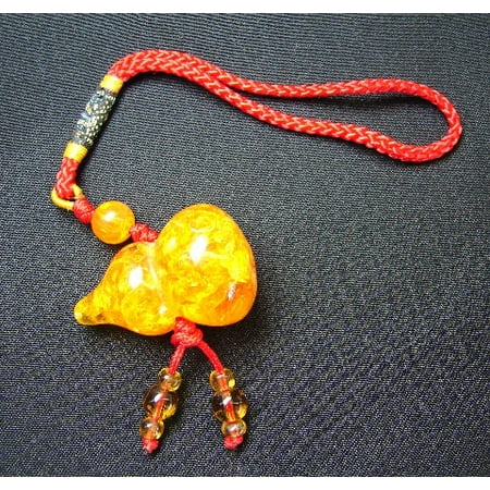 Amber Wu Lou Charm