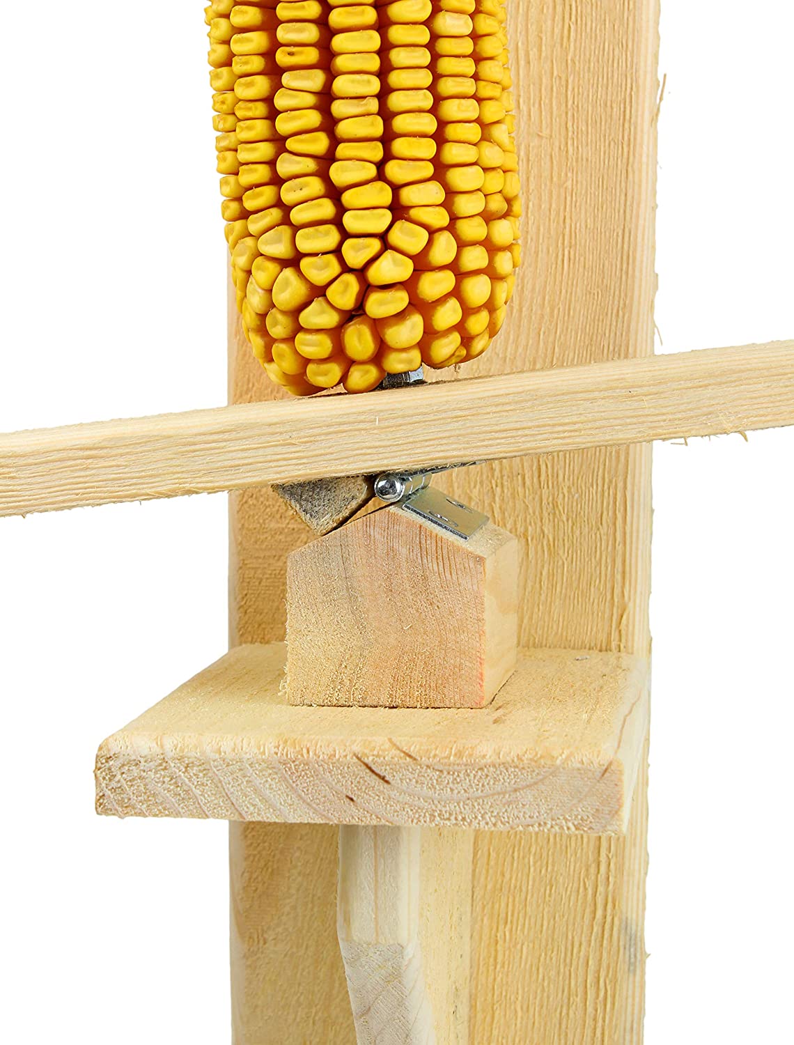 Cage feeder stock image. Image of corn, angling, considered - 59988771