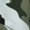 White, variant on Mens Army Camouflage 2 in 1 Quick Dry Swim Trunks with Compression Liner Beach Shorts