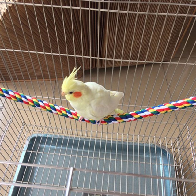 Cotton Rope Bird Cotton Rope Toy, Cotton Rope Toy, Iron Wire Durable Bird For