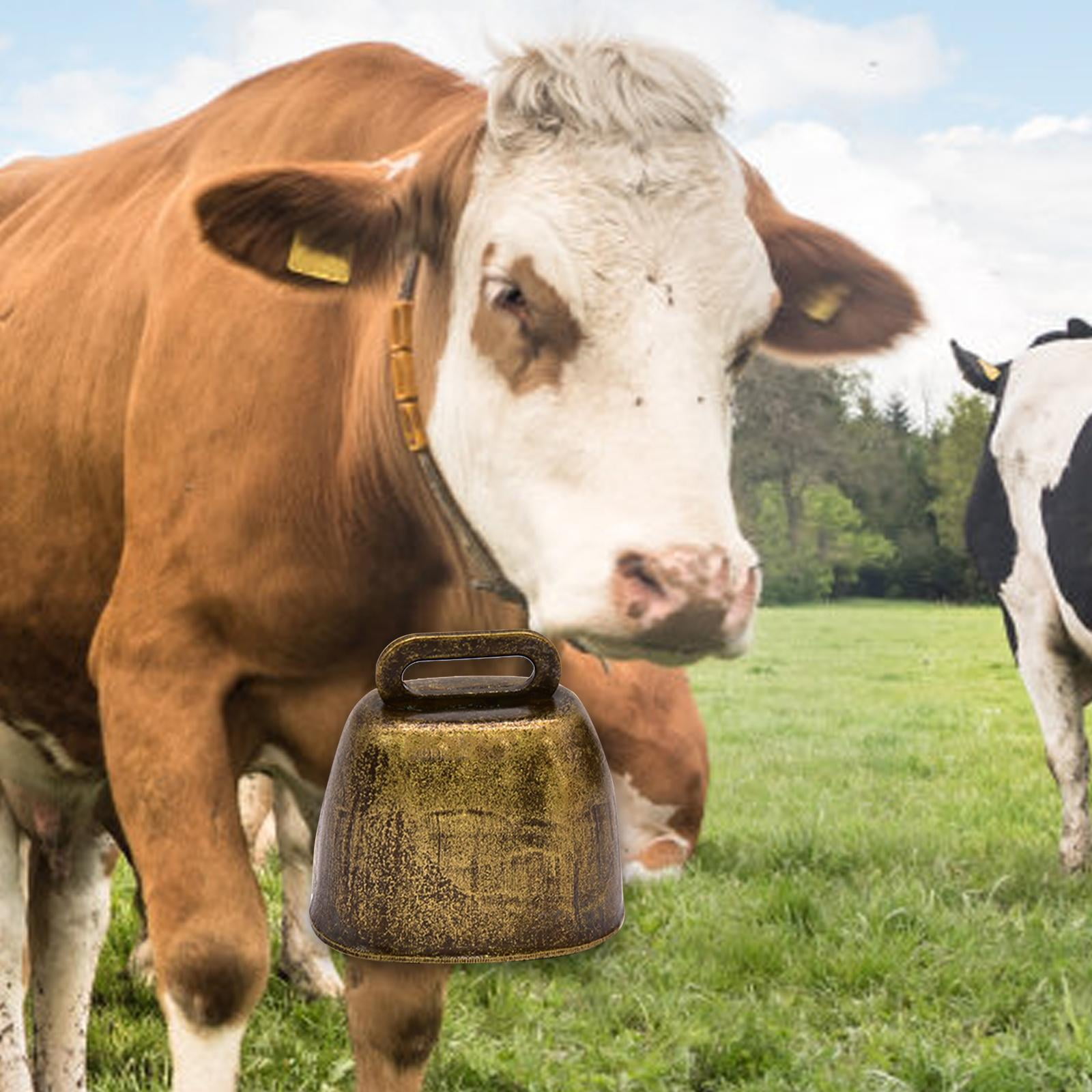 COW BELL INSIDE AIOT! ver.（COLORS：BLUE） 【公式通販】