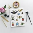 thumbnail image 4 of Pegatinas de pared vintage de insectos, taxidermia, mariposas, decoración de pared, polilla, escarabajo, libélula, saltamontes, vinilo artístico, papel tapiz, 4 of 6