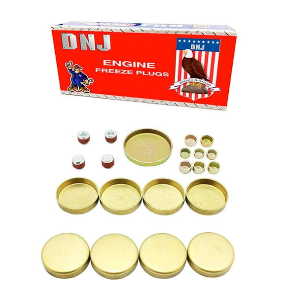 DNJ FPS3101 Expansion Plug Kit Fits Cars & Trucks 62-02 AM General Buick Bel Air 3.8L-5.7L OHV