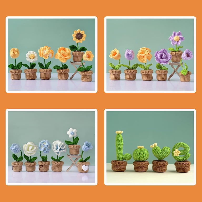 Crochet Kit for Beginners, Scheam 6 Pcs Crochet Potted Flowers Kit