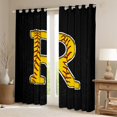 thumbnail image 2 of Feelyou Cartoon Baseball Print Curtains Pack of 2 (42x84 Each), Monogrammed R Curtains Blackout, Black Gold Stripes Abstract Bedroom Curtains, Blackout Curtains Bedroom Decor, 2 of 6