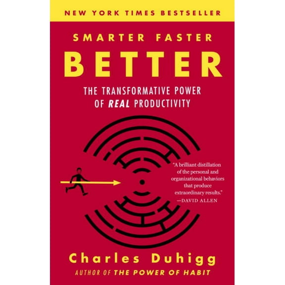 Smarter Faster Better: The Transformative Power of Real Productivity (Paperback)