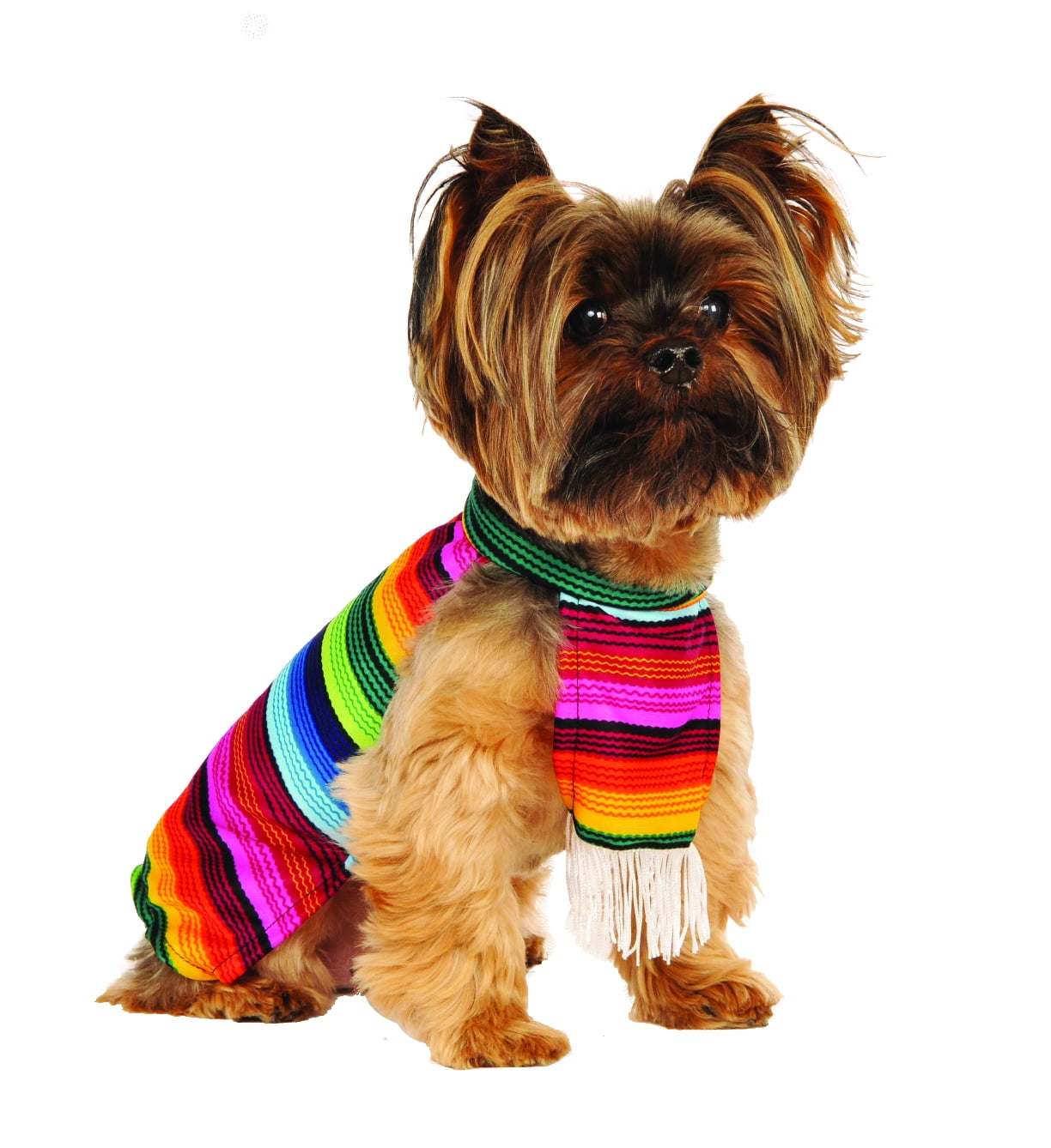 Didog Mexican Serape Blanket Dog Poncho for Small Dogs & Cats Fleece Lined Warm Winter Coat Cat Apparel for Halloween Costume Christmas Outfit