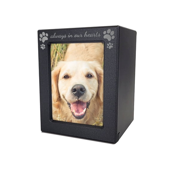 Always in Our Hearts Pet Memorial Photo Urn – Engraved Paw Print Keepsake for Cherished Pets