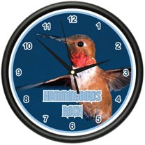 HUMMINGBIRD Wall Clock bird watching watcher's gift