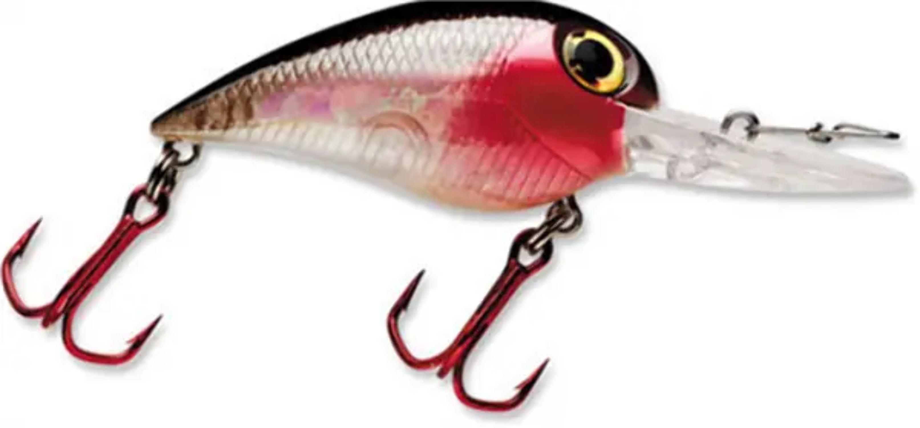  Storm Wiggle Wart MadFlash Hard Bait Lure : Fishing Topwater  Lures And Crankbaits : Sports & Outdoors