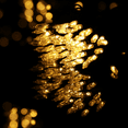 thumbnail image 5 of MoNiBloom 3 Pieces 43Ft Halloween Tree Lights, Reusable 8 Modes Led Christmas Lights Indoor Outdoor Waterproof with Charge Power, Time Setting Function and 100 Bulbs, Warm Color, 5 of 10