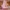 Pink, variant on Breathable Hanging Mosquito Net Top Hook Lace Bed Canopy Encrypted Mesh Round Dome Court Style Crib Canopy Bedroom Decoration