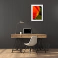 thumbnail image 3 of Peterson, Lee 11x14 White Modern Wood Framed Museum Art Print Titled - Tulip Detail II, 3 of 4