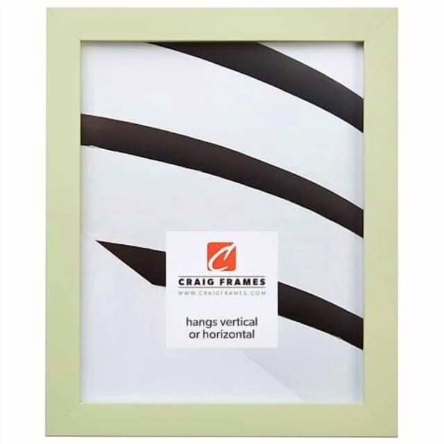 Craig Frames Confetti Modern Light Green Picture Frame 10 x 12 Inch