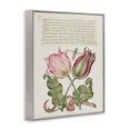 thumbnail image 3 of Stupell Industries French Country Tulips & Insects Antique Gray Framed Giclee Art, 24 x 30, by Melissa Wang, 3 of 8