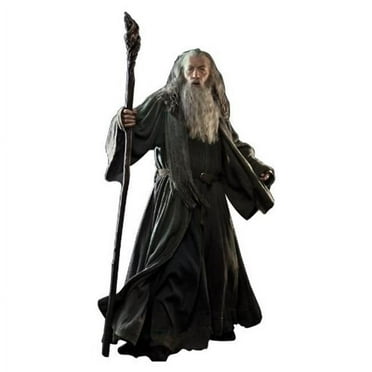 Advanced Graphics 1401 Gandalf - The Hobbit