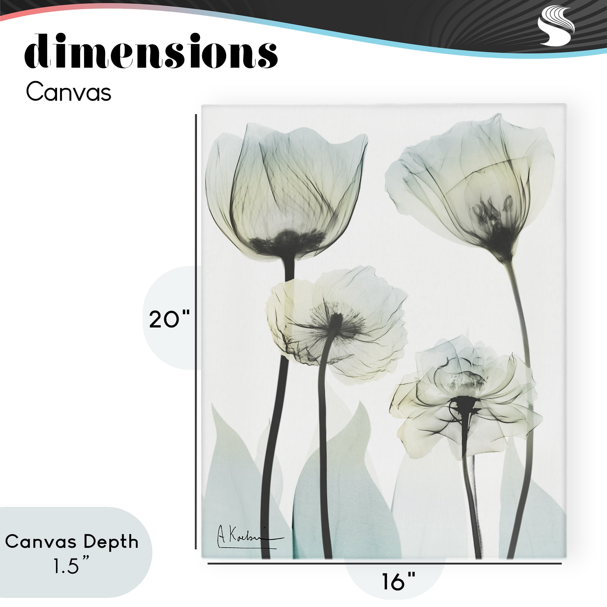 Stupell Industries Floral Luxury Of Creation Canvas Wall Art, design by Albert Koetsier