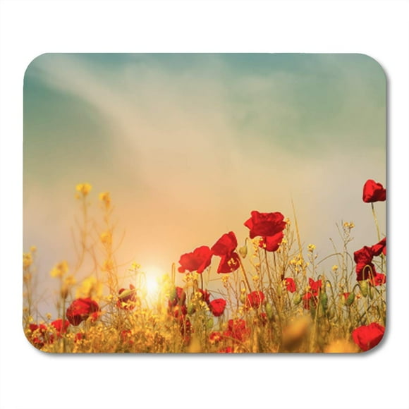 POGLIP Green Sunshine Red Poppies on Rapeseed Field Beautiful Sunrise Mousepad Mouse Pad Mouse Mat 9x10 inch