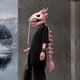 thumbnail image 3 of Conjunto de Esqueleto de Dinosaurio Realista, 3 of 5