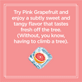 Sparkling Ice® Naturally Flavored Sparkling Water, Pink Grapefruit 17
