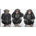 thumbnail image 1 of Cuadro Decorativo - tres monos Jr  Impresión en canvas, estrechado, 1 of 2