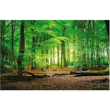 Image of XYSCZYY 8x6ft Camping Backdrop Jungle Forest Backdrops Forest Photo Background Nature Photo Spring Backgrounds Baby