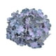 thumbnail image 1 of Advancent Cabezas de flores artificiales versátiles de seda del arte de la hortensia para el mantenimiento bajo elegante interior o al aire Kits de decoración para fiestas Púrpura+Azul, 1 of 6