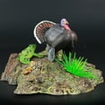 thumbnail image 3 of Miangastore Simulation Turkey Model Realistic Turkey Figurine Wildlife Animal Model Home Miniature Decor Children's Toy Ornament, 3 of 8